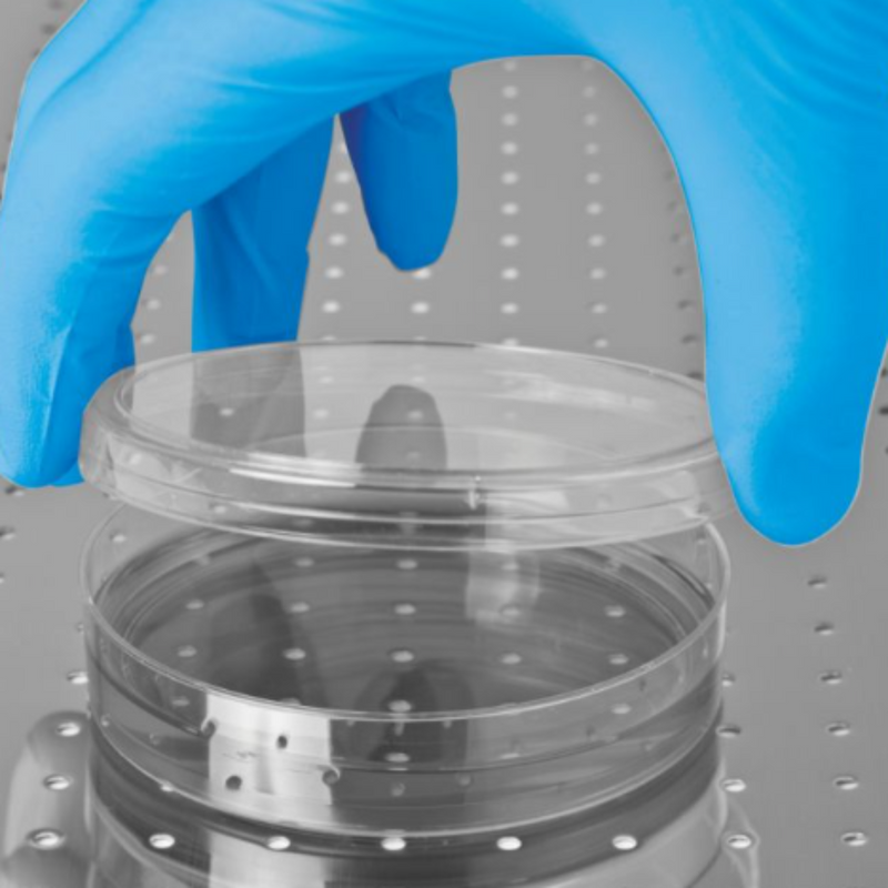 Handsafe® Powder Free Blue Nitrile Examination Gloves GN83 | www.theglovestore.co.uk