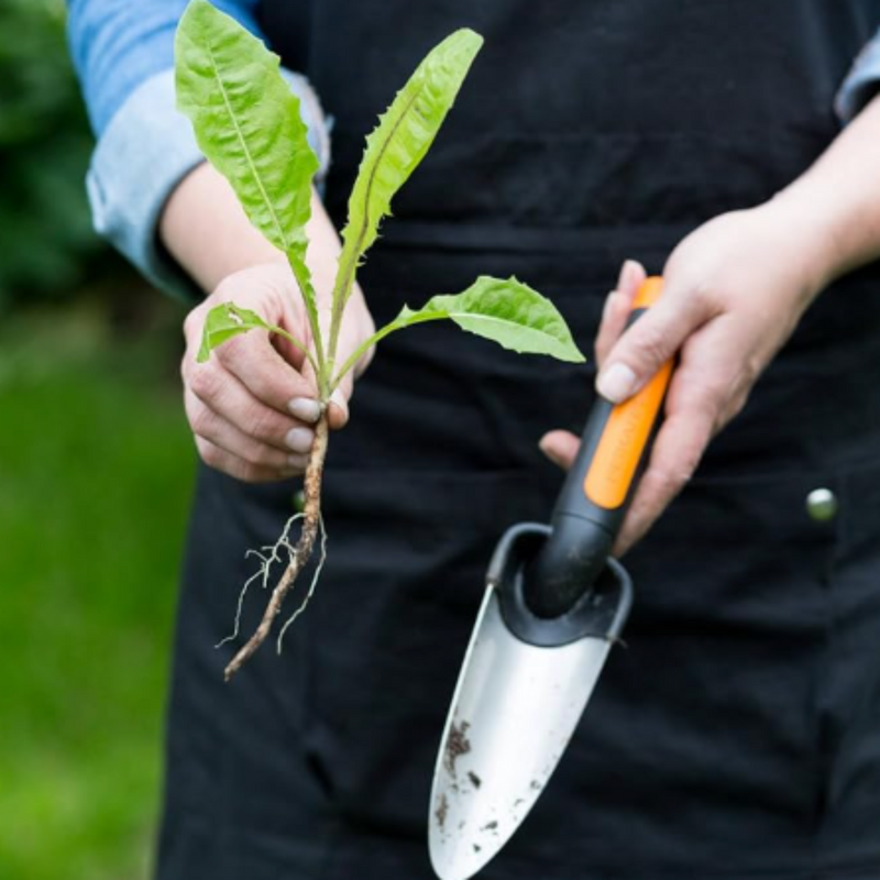 Fiskars Premium Planters Transplanter Trowel | 1000727 | www.theglovestore.co.uk