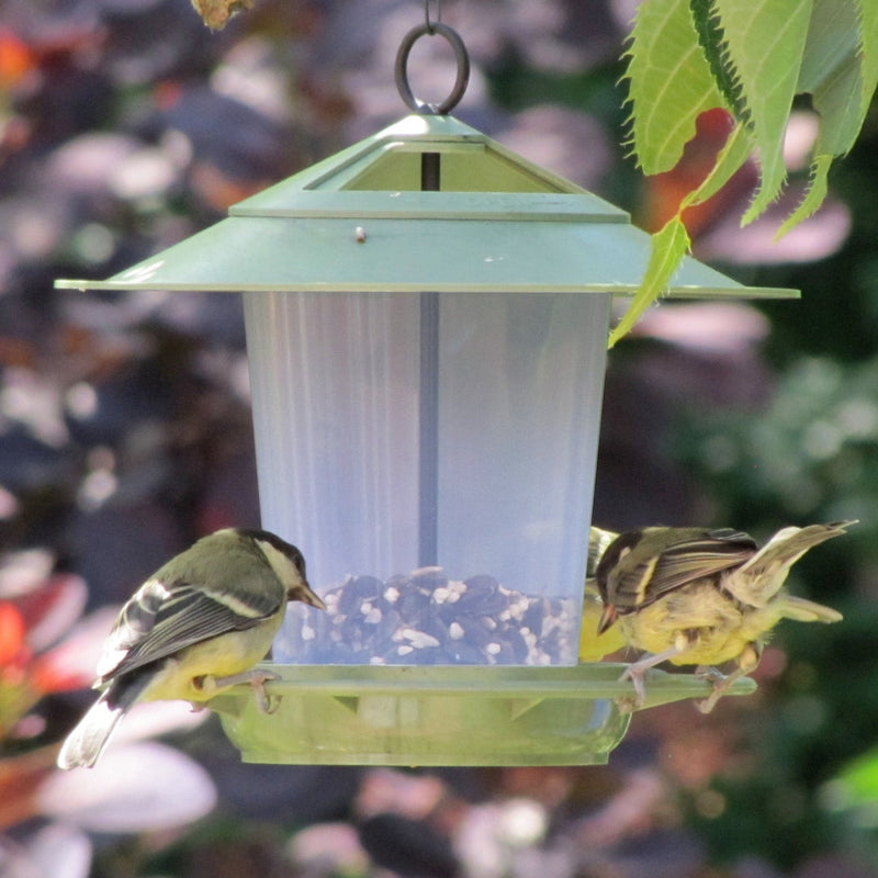 Wildlife World Eco Beacon Bird Feeder | Birds & Wildlife