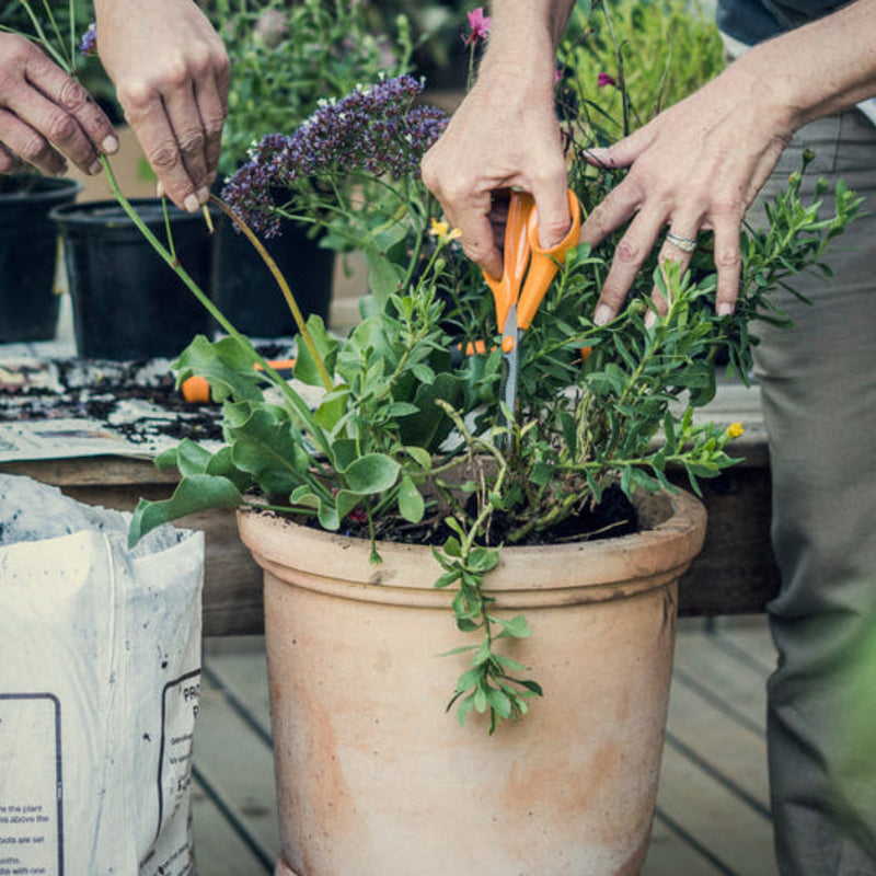 Fiskars S90 Universal Garden Scissors | www.theglovestore.co.uk