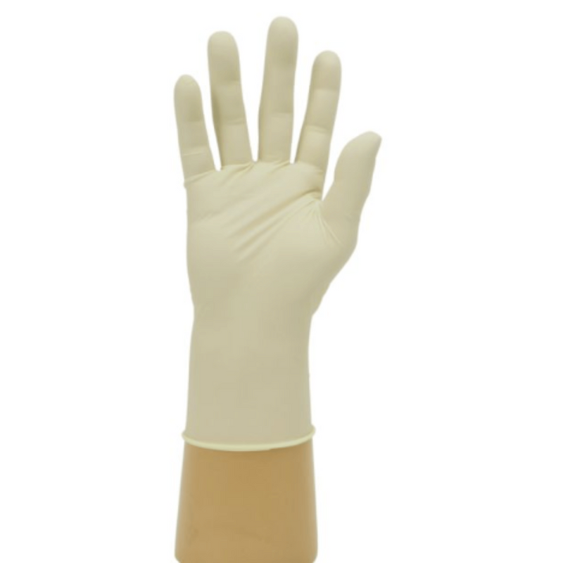 Shield GD05 Latex Powder Free Disposable Gloves | Single Disposable Latex Glove | www.theglovestore.co.uk