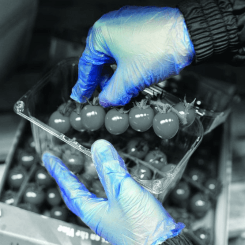 A close-up of gloved hands holding a clear plastic clamshell container of small round tomatoes in a processing or storage setting.