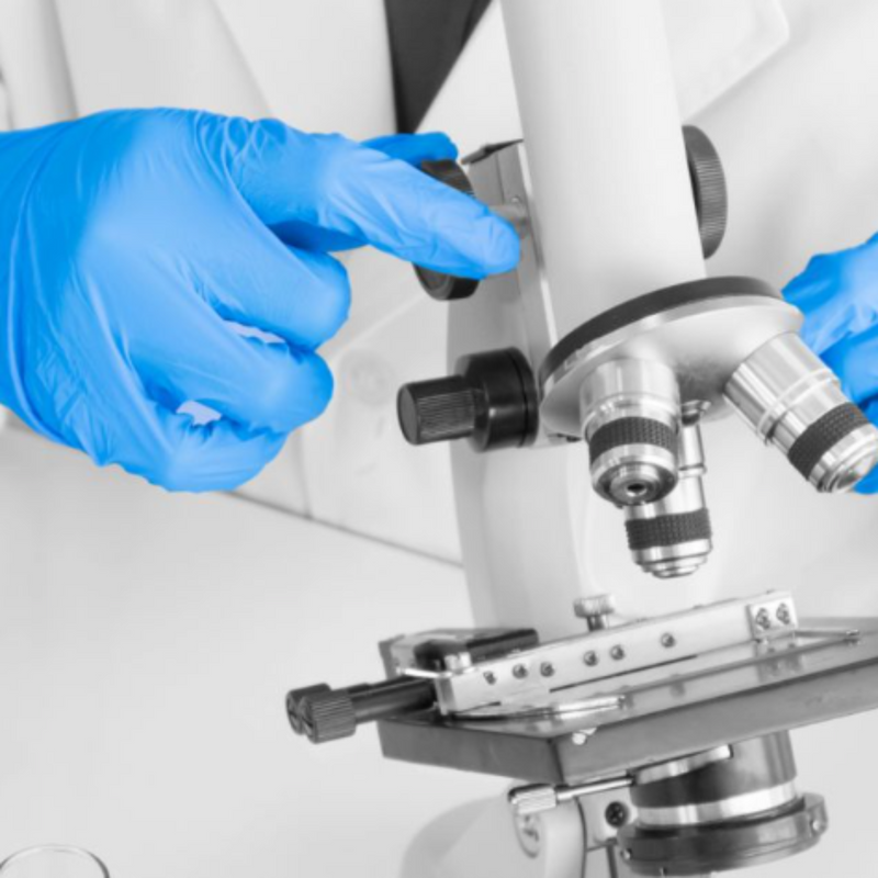 Shield Powder Free Blue Nitrile Disposable Gloves GD19 | www.theglovestore.co.uk