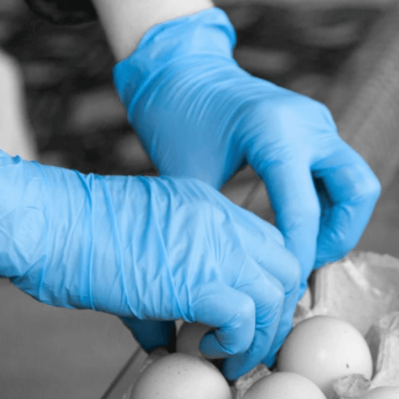 Shield GD21 Blue Nitrile Powder Free Disposable Gloves | Blue nitrile gloves in a lifestyle food setting | www.theglovestore.co.uk