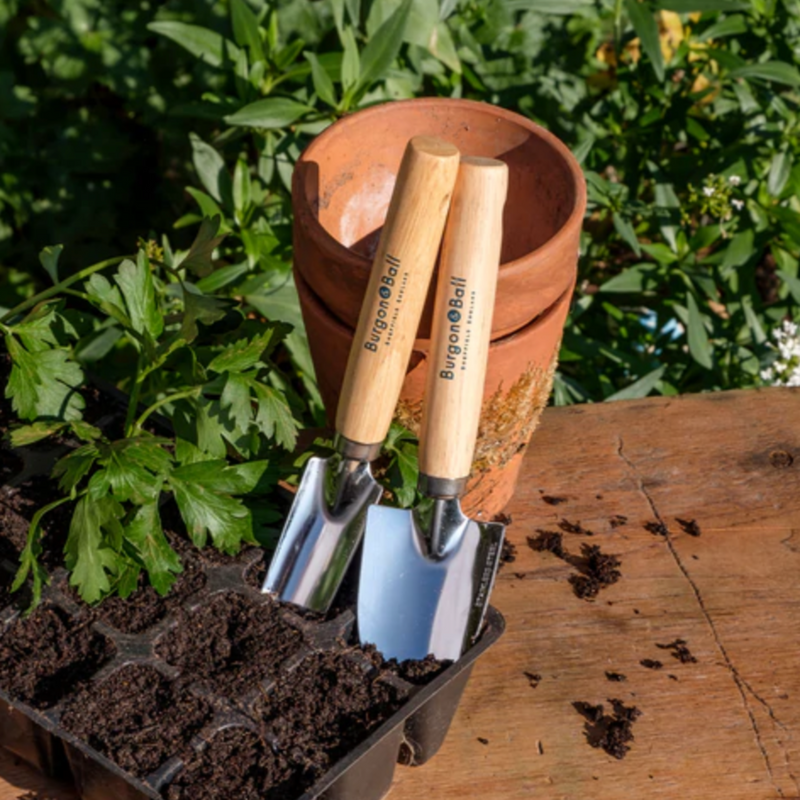 Burgon and Ball Cell Tray Trowels (GES/CELLTR) | www.theglovestore.co.uk