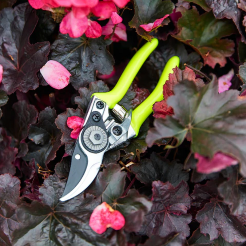 Burgon & Ball Flora Brite Yellow Pocket Pruner - RHS Endorsed (GFB/PPYELL)