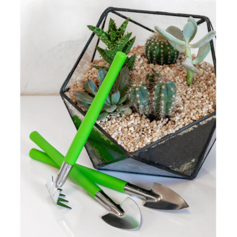 Burgon & Ball Houseplant & Terrarium Tool Set (GIG/HTSET) | www.theglovestore.co.uk