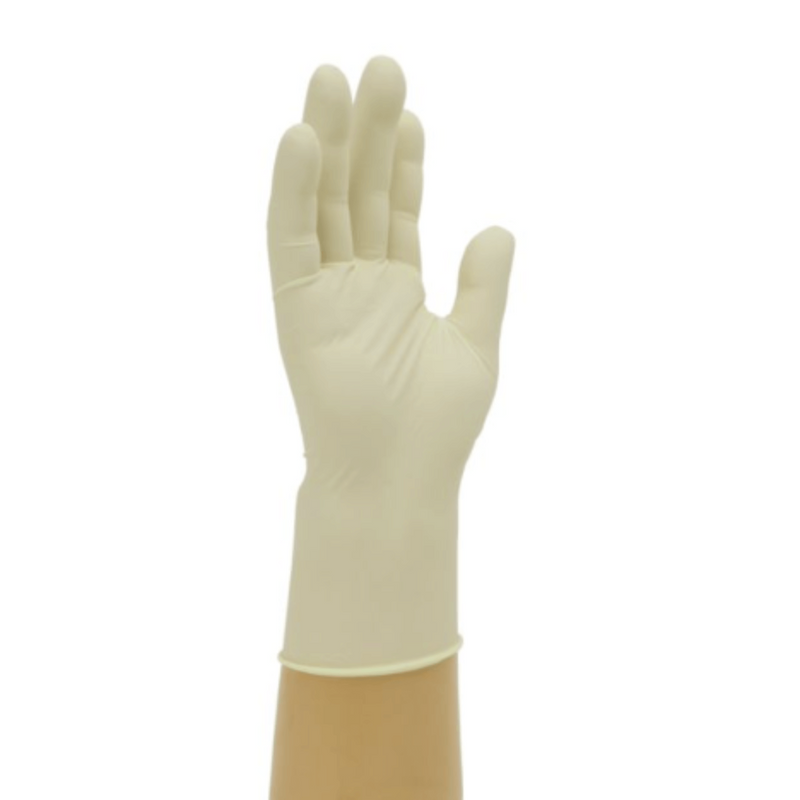 Bodyguards GL888 Latex Powder Free Disposable Gloves | Single Hand with a  Latex Glove | www.theglovestore.co.uk