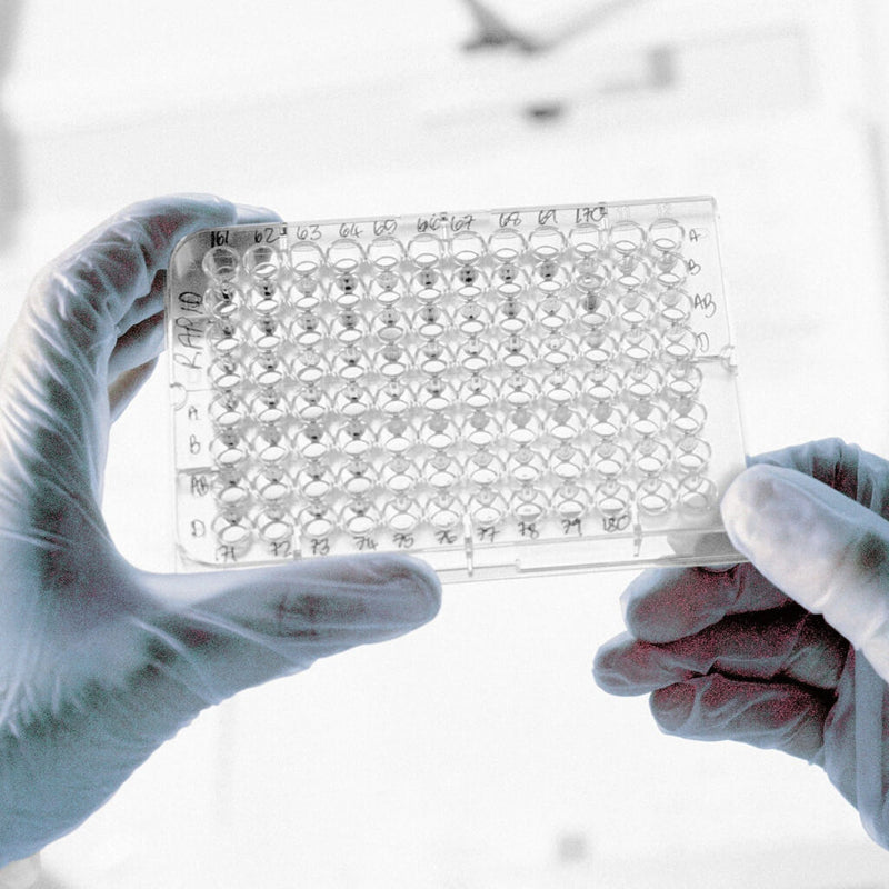 Handsafe GN65 Clear Powder Free Vinyl Examination Gloves | Clear Vinyl gloves suitable for the Pharmaceutical and Medical Sectors | www.theglovestore.co.uk