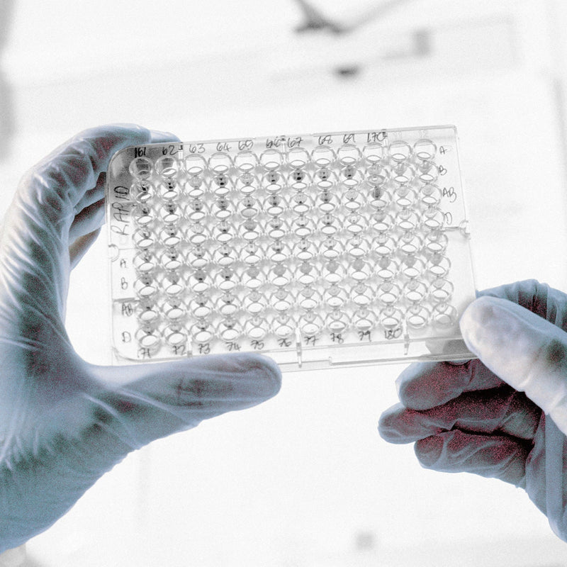 HandSafe Powder Free Vinyl Examination Gloves GN65, Laboratory Gloves