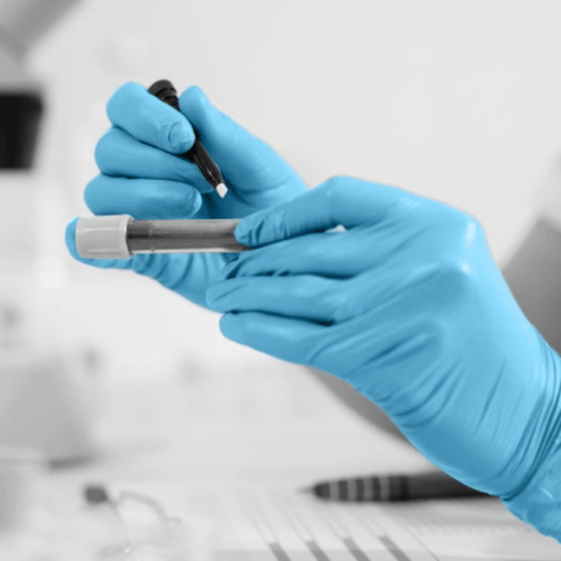 HandSafe GN90 Blue Nitrile Powder Free Examination Gloves (200 gloves per box) |  Blue Nitrile Gloves in a laboratory setting | www.theglovestore.co.uk