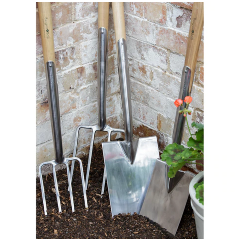 Burgon & Ball Stainless Border Fork - RHS Endorsed (GTB/SFBRHS) | Garden Fork