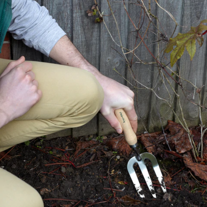 Burgon and Ball Stainless Hand Fork - RHS Endorsed (GTH/SHFRHS) | www.theglovestore.co.uk