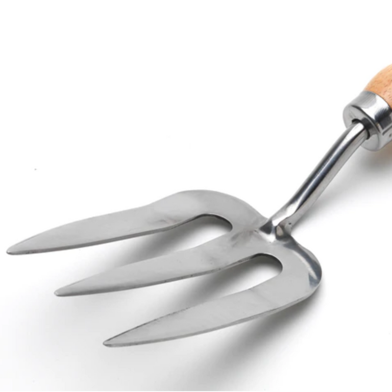 Burgon and Ball Stainless Hand Fork - RHS Endorsed (GTH/SHFRHS) | www.theglovestore.co.uk