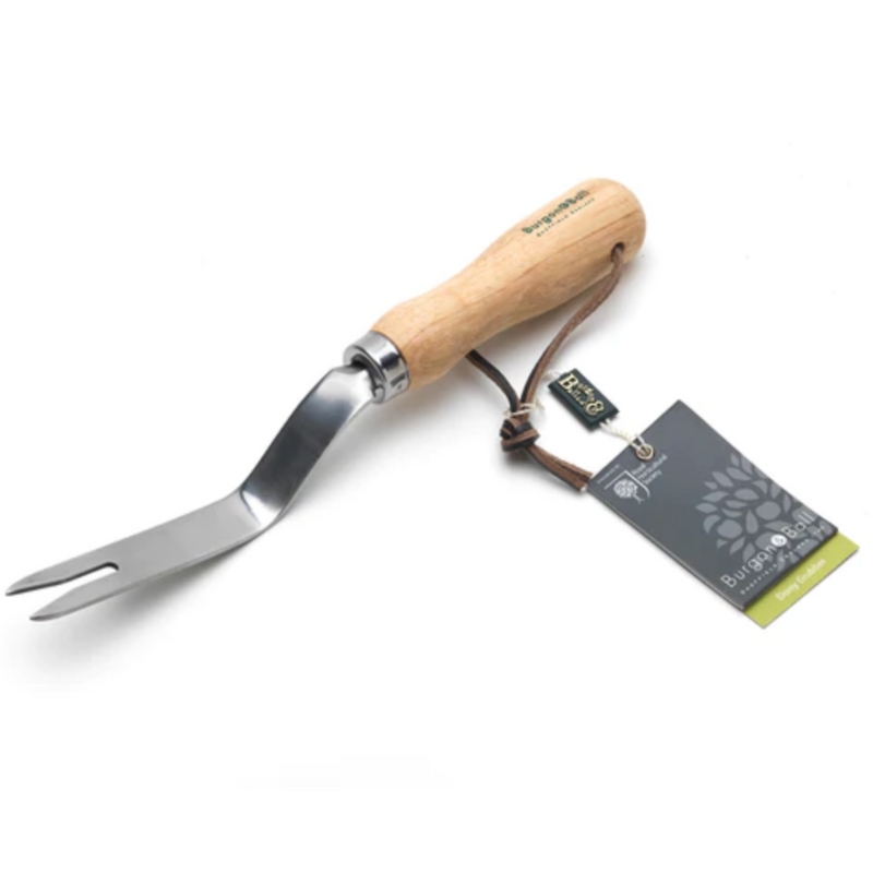 Burgon & Ball Stainless Daisy Grubber - RHS Endorsed (GTH/SDGRHS) | Garden Tools