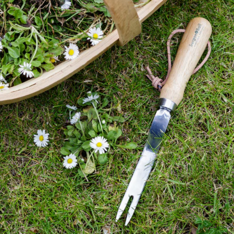 Burgon & Ball Stainless Daisy Grubber - RHS Endorsed (GTH/SDGRHS) | Garden Tools