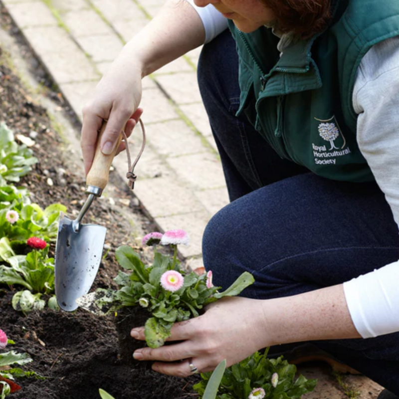 Burgon and Ball Stainless Hand Trowel - RHS Endorsed (GTH/SHTRHS) | www.theglovestore.co.uk