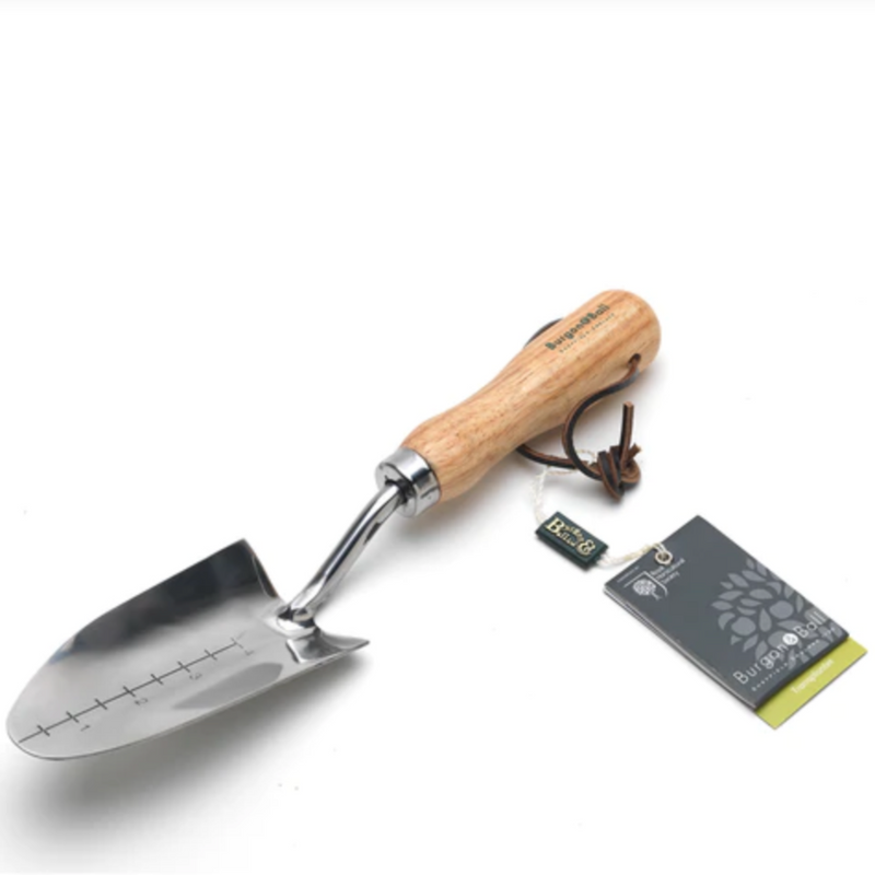 Burgon and Ball Stainless Transplanter - RHS Endorsed (GTH/STPRHS) | www.theglovestore.co.uk