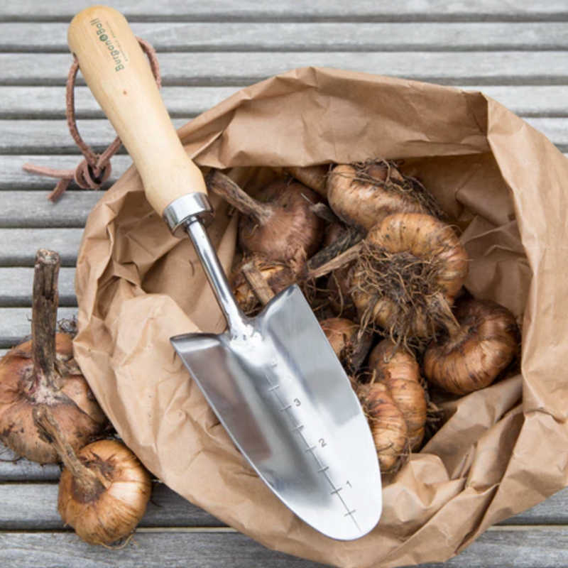 Burgon and Ball Stainless Transplanter - RHS Endorsed (GTH/STPRHS) | www.theglovestore.co.uk