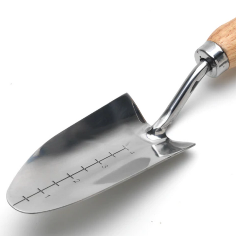 Burgon and Ball Stainless Transplanter - RHS Endorsed (GTH/STPRHS) | www.theglovestore.co.uk