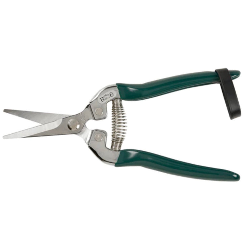 Burgon and Ball Flower and Fruit Snip - RHS Endorsed (GTO/FFS) | The Glove Store