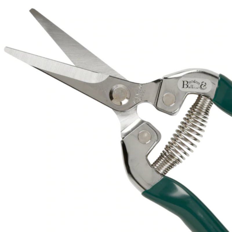 Burgon and Ball Flower and Fruit Snip - RHS Endorsed (GTO/FFS) | The Glove Store