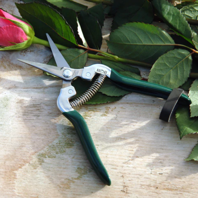 Burgon and Ball Flower and Fruit Snip - RHS Endorsed (GTO/FFS) | The Glove Store