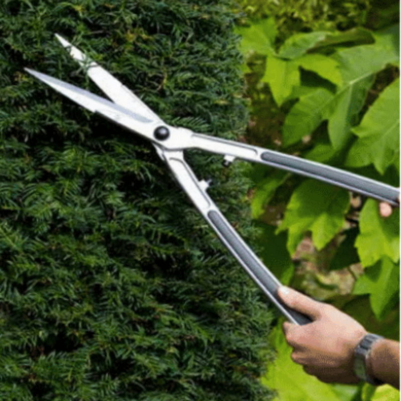 Burgon & Ball Precision Shears - RHS Endorsed (GTO/HEDGE)