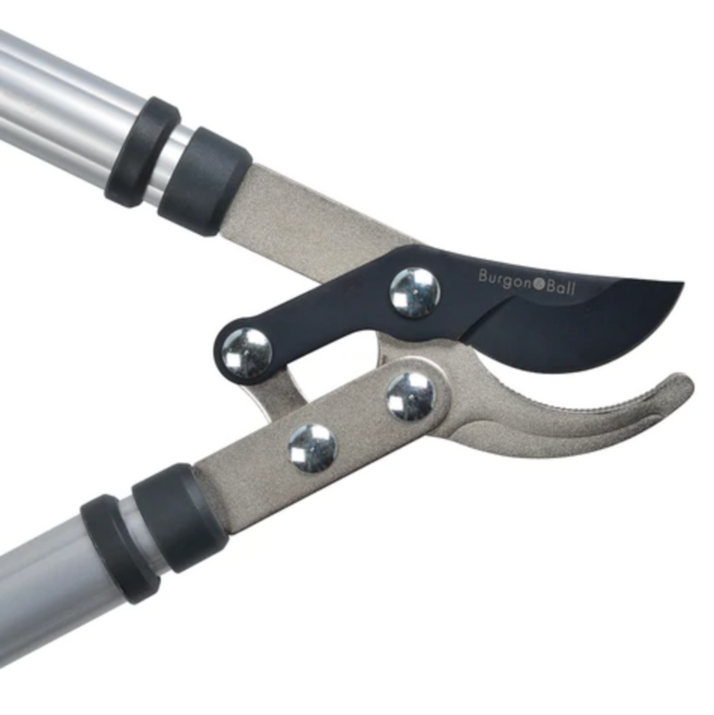 Burgon & Ball Telescopic Bypass Lopper - RHS Endorsed (GTO/LOPBYPASS)