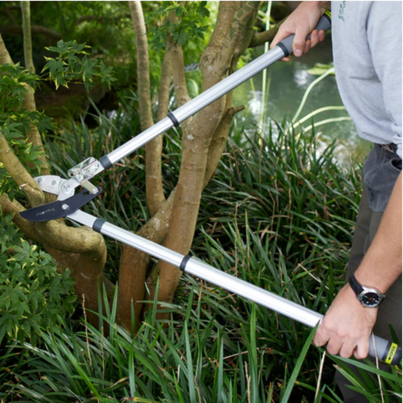 Burgon and Ball Telescopic Ratchet Lopper - RHS Endorsed (GTO/LOPRATCHET)
