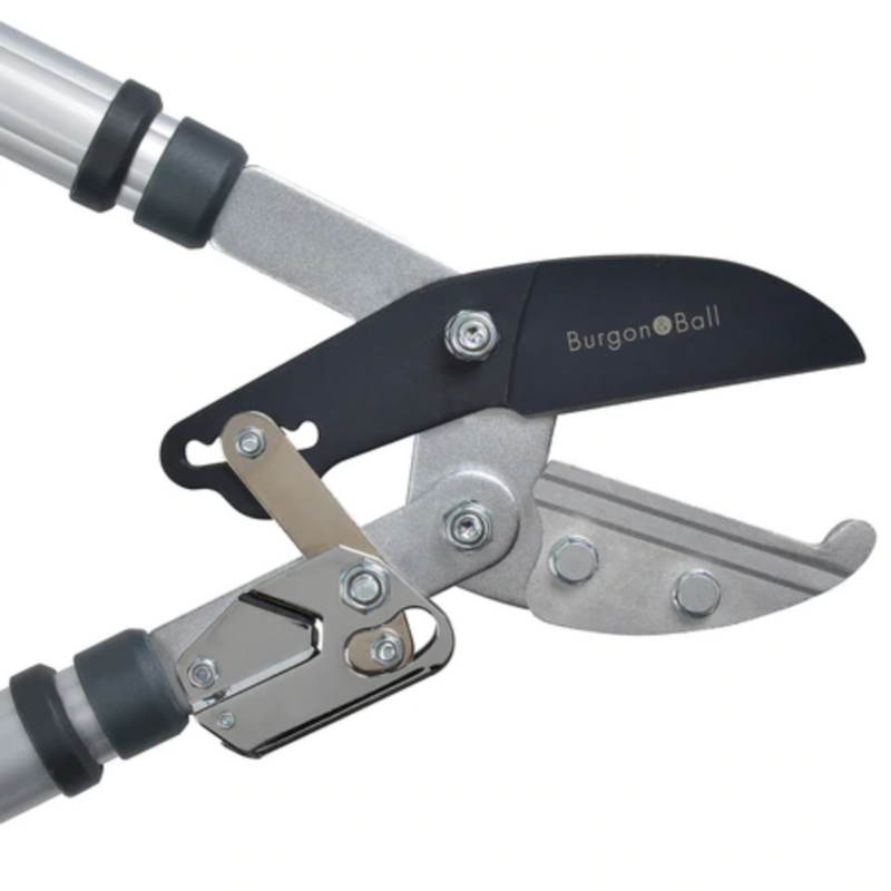 Burgon and Ball Telescopic Ratchet Lopper - RHS Endorsed (GTO/LOPRATCHET)