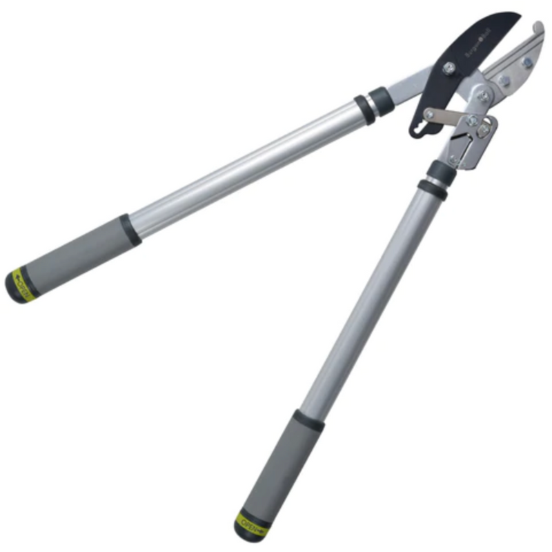 Burgon and Ball Telescopic Ratchet Lopper - RHS Endorsed (GTO/LOPRATCHET)