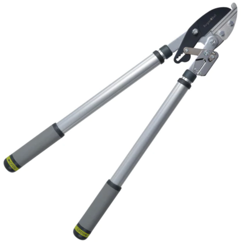 Burgon and Ball Telescopic Ratchet Lopper - RHS Endorsed (GTO/LOPRATCHET)