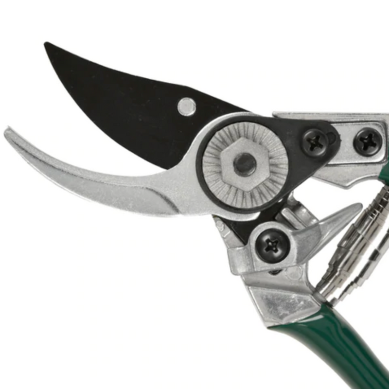 Burgon and Ball Pocket Pruner - RHS Endorsed (GTO/PP) | www.theglovestore.co.uk