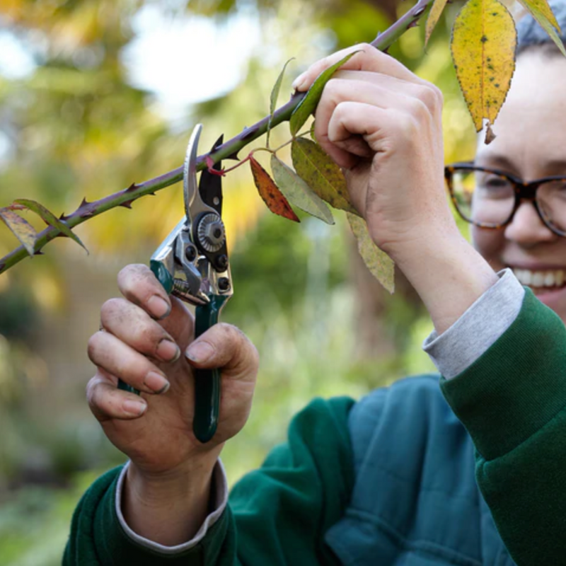 Burgon and Ball Pocket Pruner - RHS Endorsed (GTO/PP) | www.theglovestore.co.uk