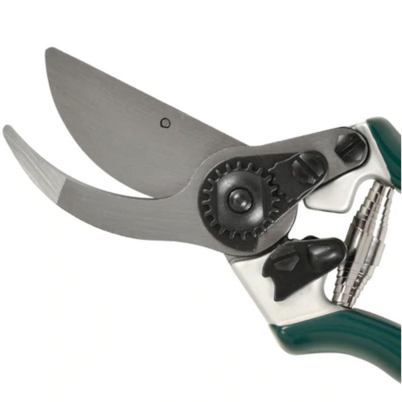 Burgon and Ball Professional Bypass Secateurs - RHS Endorsed (GTO/PRB)