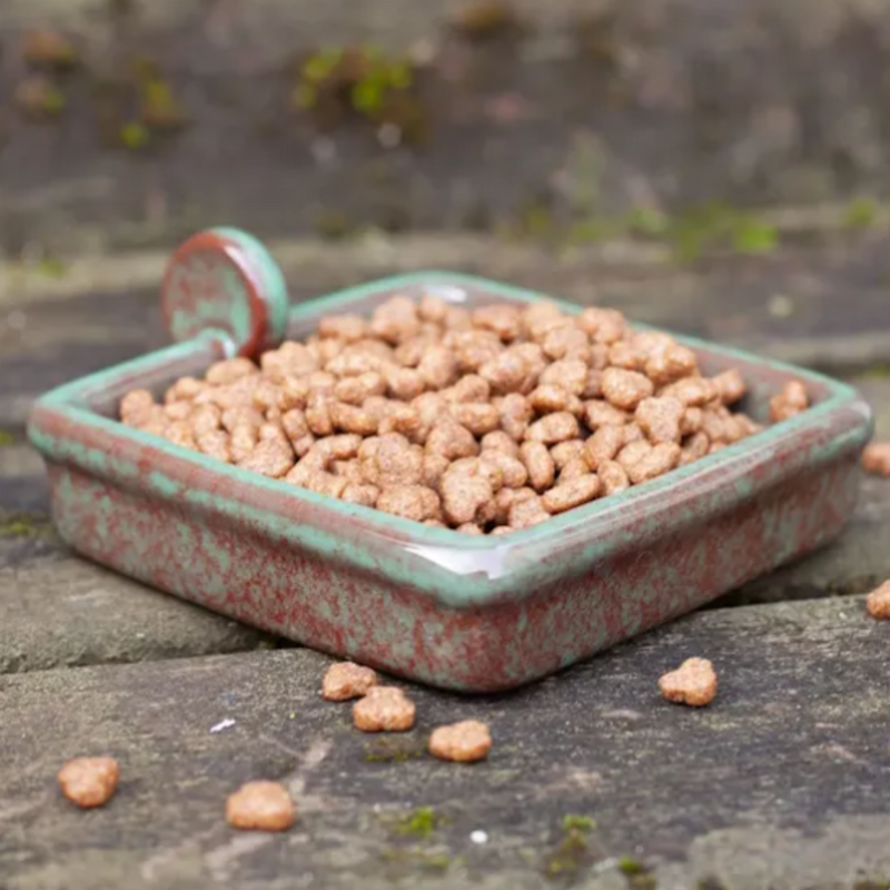 Wildlife World Hedgehog Snack Bowl | Wildlife Feeding Accessories