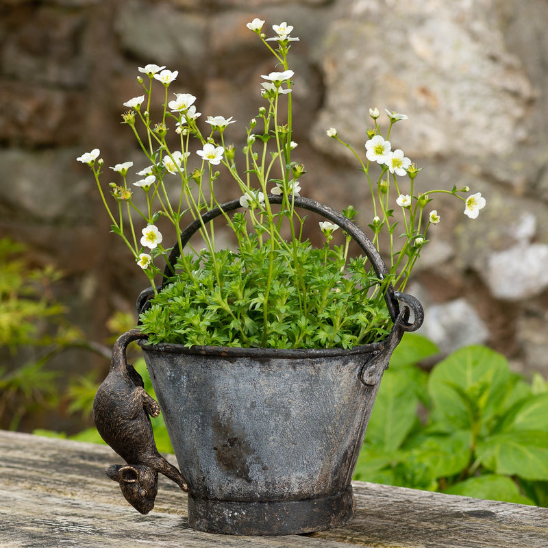 Pot Buddy 'Mouse' - Plant Pot Hanger