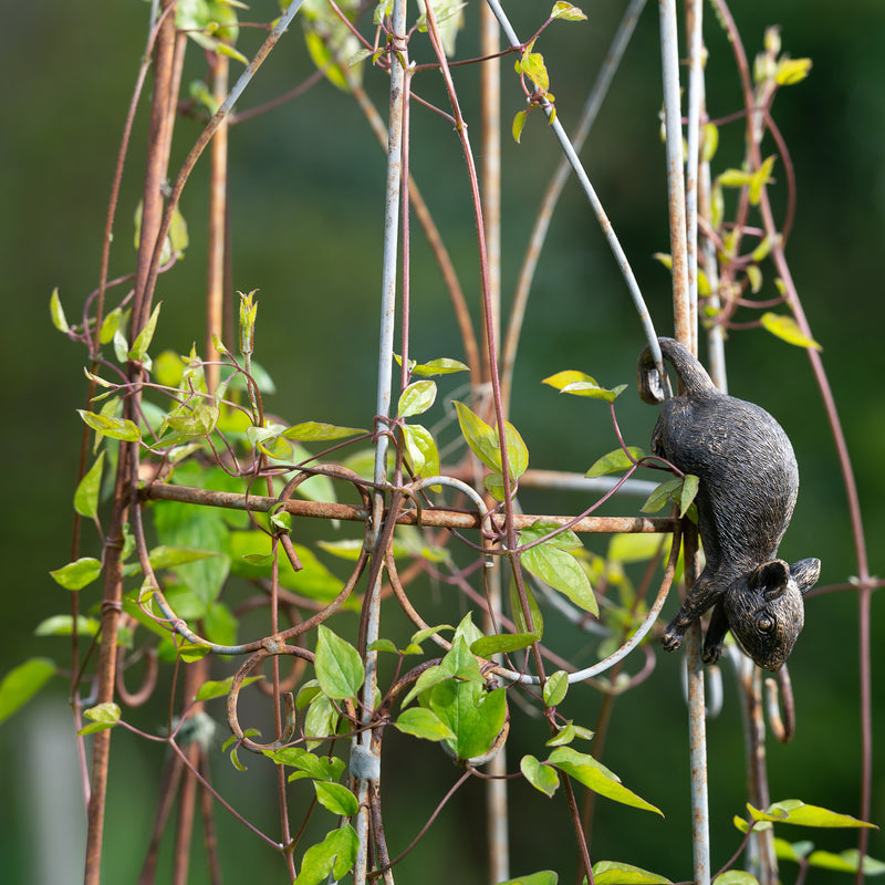 Pot Buddy 'Mouse' - Plant Pot Hanger