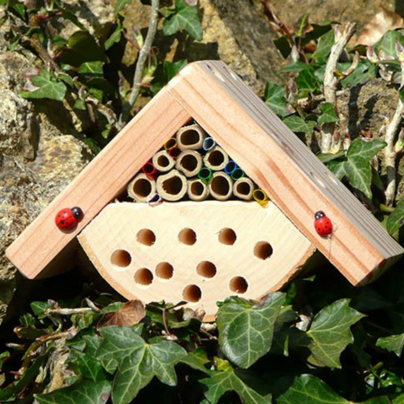 Wildlife World Minibugs Bobbys Bug House | Birds & Wildlife