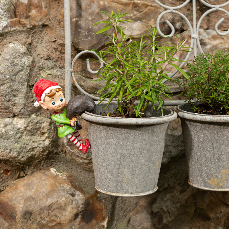 Pot Buddy 'Naughty Christmas Elf' - Plant Pot Hanger