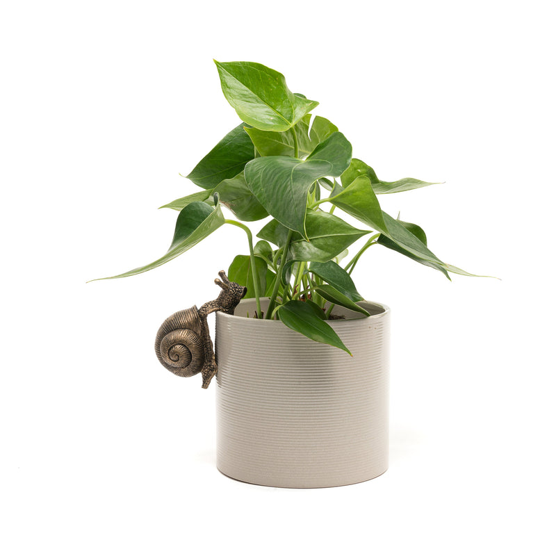 Pot Buddy 'Snail' - Plant Pot Hanger