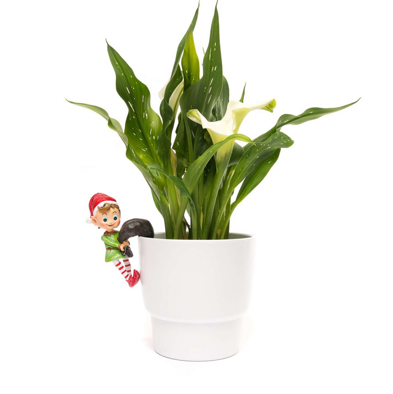 Pot Buddy 'Naughty Christmas Elf' - Plant Pot Hanger