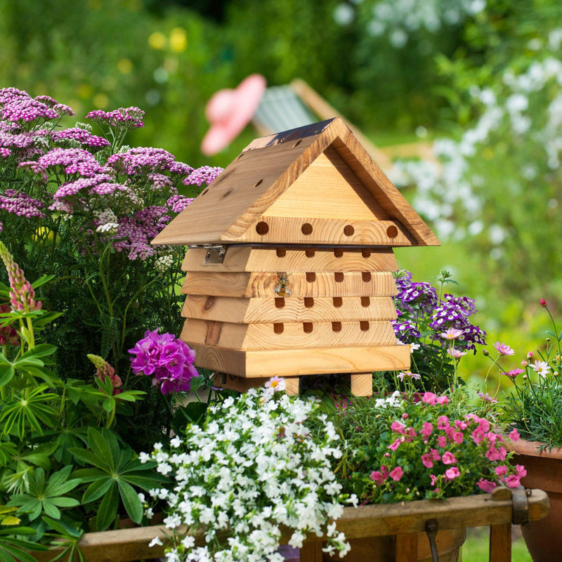 Wildlife World Solitary Bee Hive | Birds & Wildlife | 