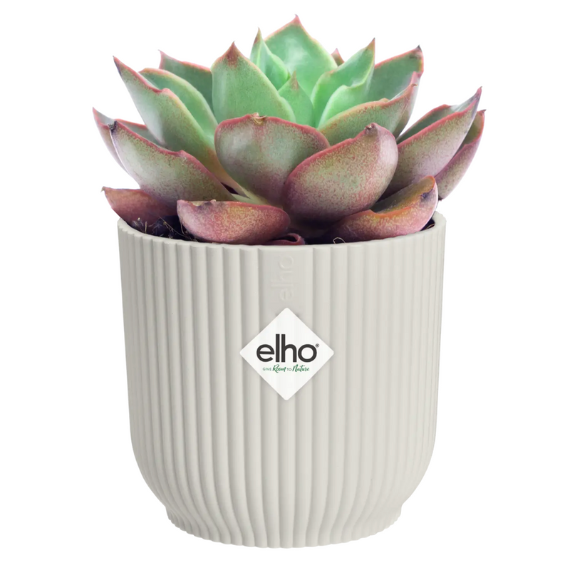Elho Vibes Fold Round Mini Indoor Flower Pot (11cm) - Silky White | The Glove Store