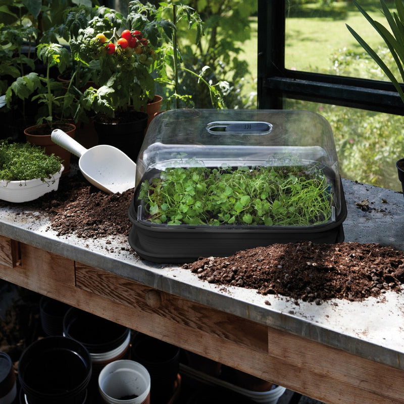 Elho Green Basics Grow Kit All in 1 - Black | www.theglovestore.co.uk