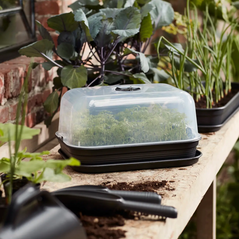 Elho Green Basics Grow Kit All in 1 - Black | www.theglovestore.co.uk
