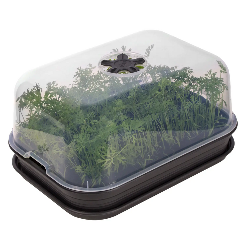 Elho Green Basics Grow Kit All in 1 - Black | www.theglovestore.co.uk