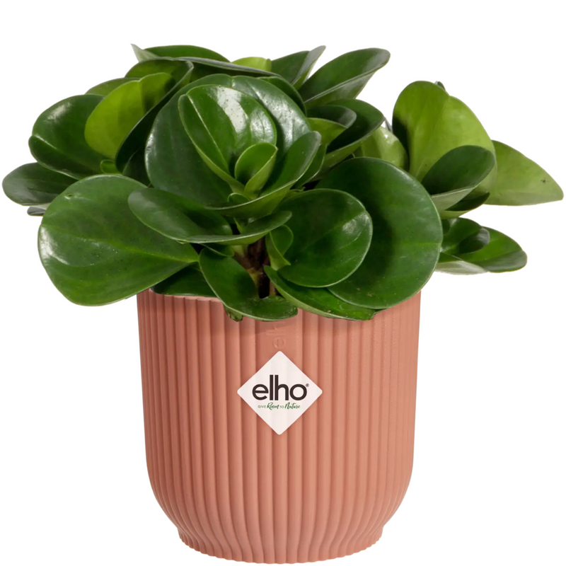 Elho Vibes Fold Round Indoor Flower Pot (18cm) - Delicate Pink | The Glove Store