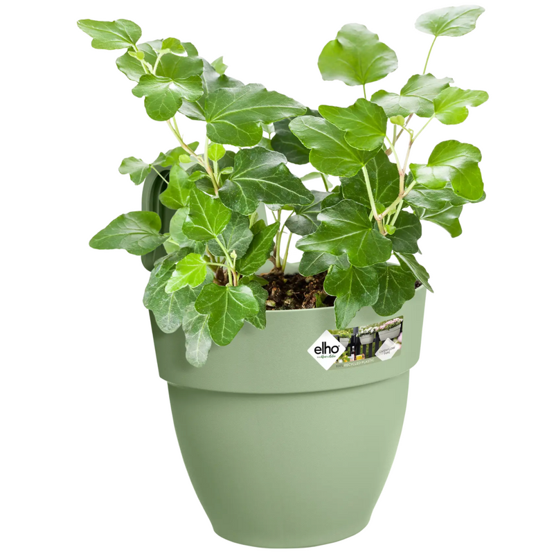 Elho Vibia Campana Easy Hanger - Pistachio Green (Small) | www.theglovestore.co.uk